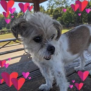 Meet your Posher, Vickie